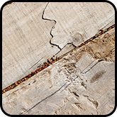 Holz